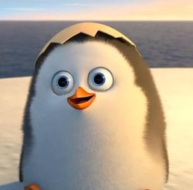 GilinskyMadison's tweet image. リビングで二度寝の途中 👊