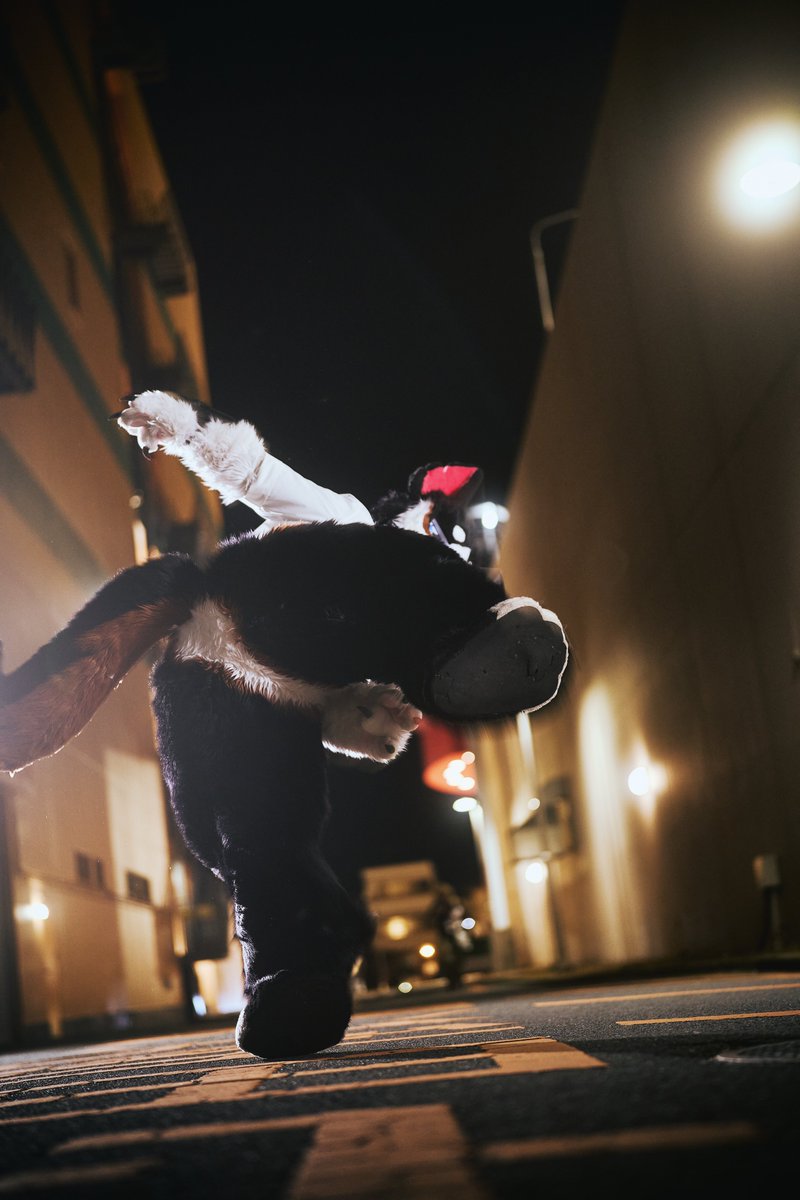 밥차 ( BOBCHA / ボプチャ / 博布查 )🐶🇰🇷 tweet media