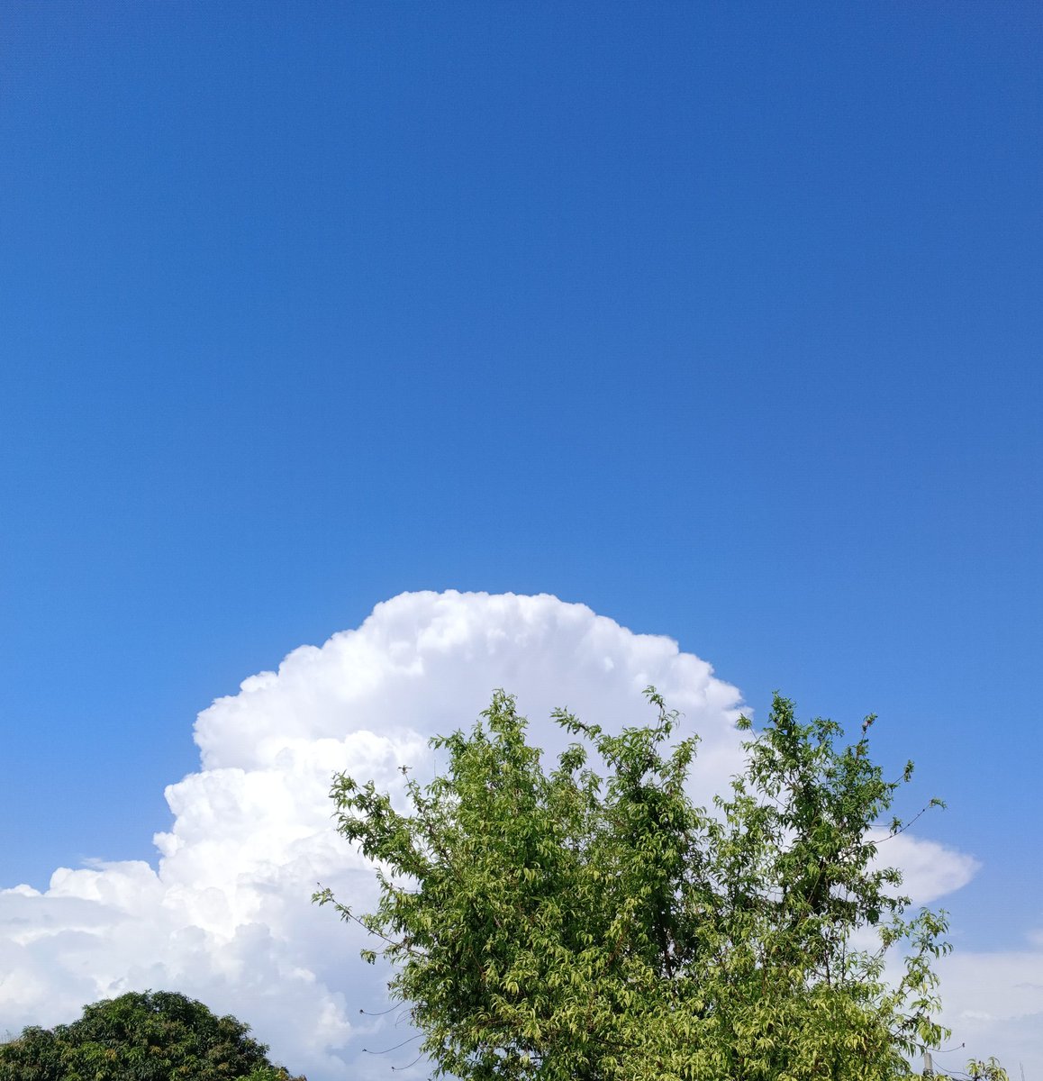 ChhambSnaps tweet media