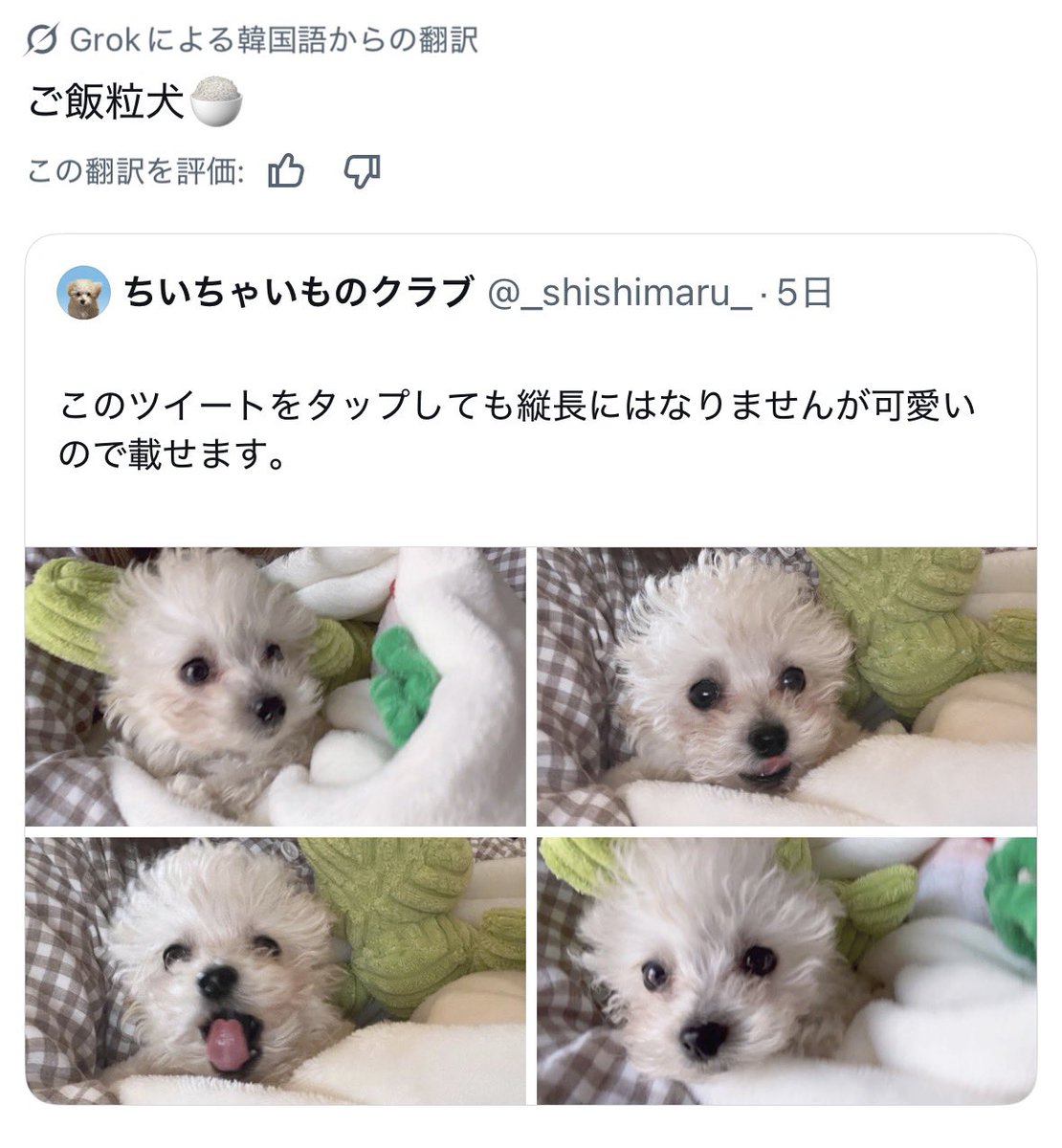 _shishimaru_'s tweet photo. ㅤ
分かる。韓国の人はネーミングセンスも最高＿＿＿＿
ㅤ https://t.co/SfFCTzOVrV