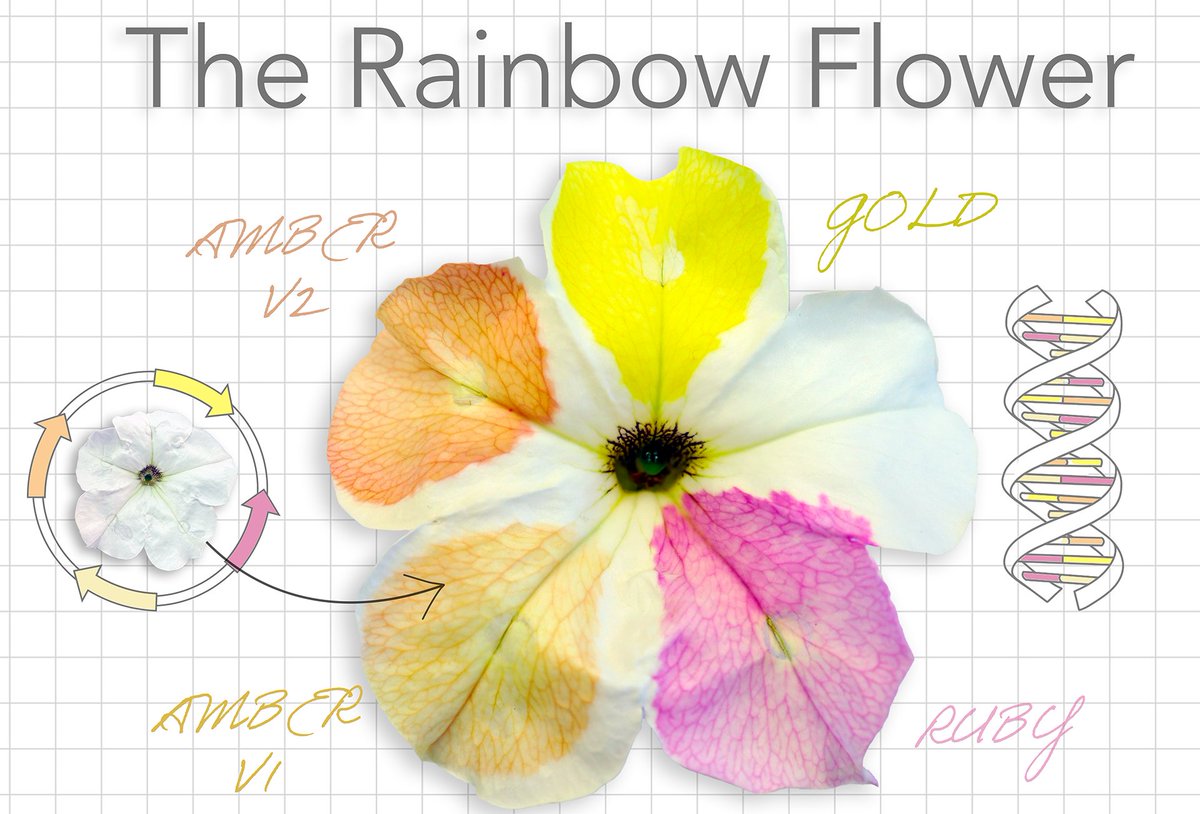 Nick Desnoyer tweet media