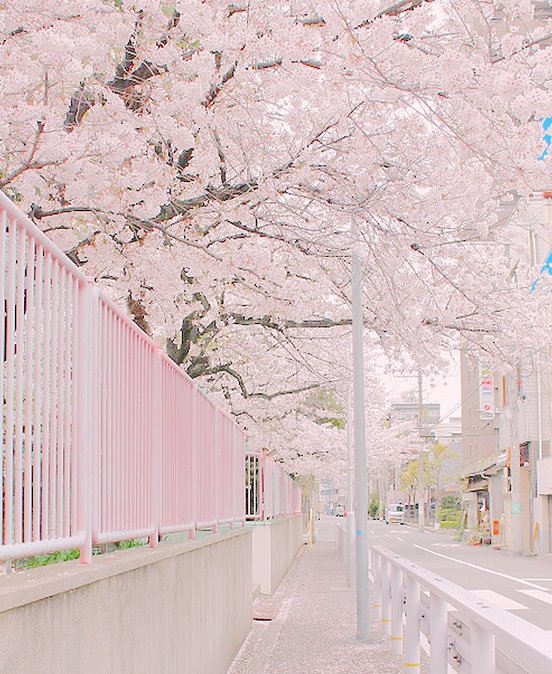 caeflex's tweet image. コーヒーを1日5杯飲んでる計算になるけど、カフェイン中毒かもしれない不安 🥧