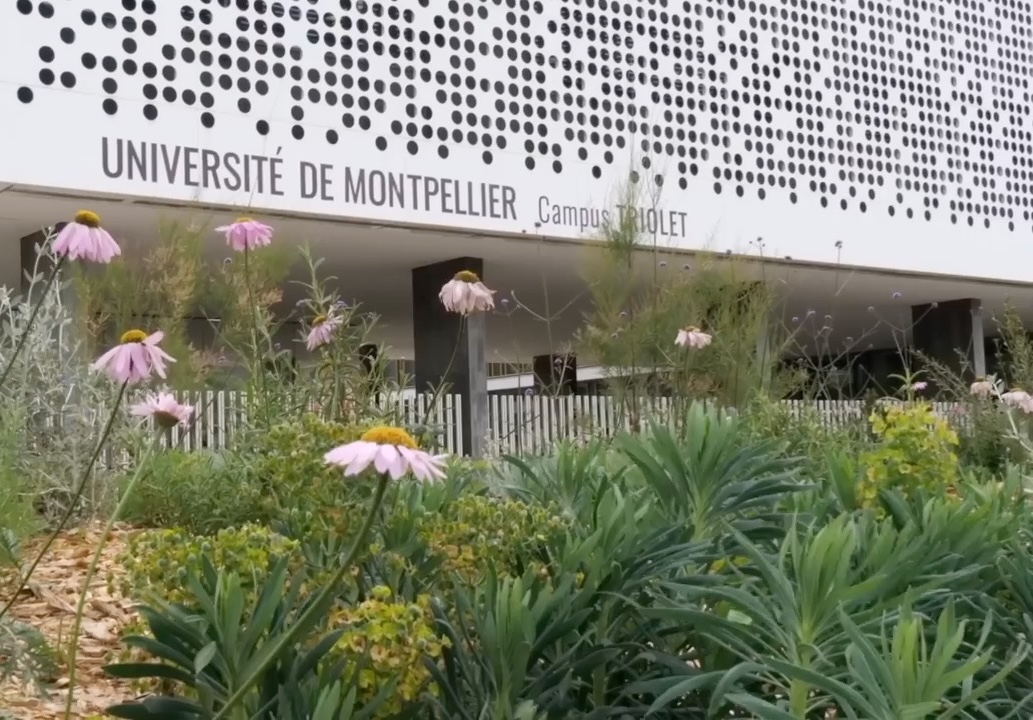 ecom_news's tweet image. 🎓#Montpellier : Quelles sont les priorités de l’@umontpellier pour l’année 2026 et de son président @Philippe_Auge ? Consolider l’excellence, soutenir la recherche et les #etudiants en situation de précarité. Reportage vidéo exclusif : bit.ly/45MLL9l