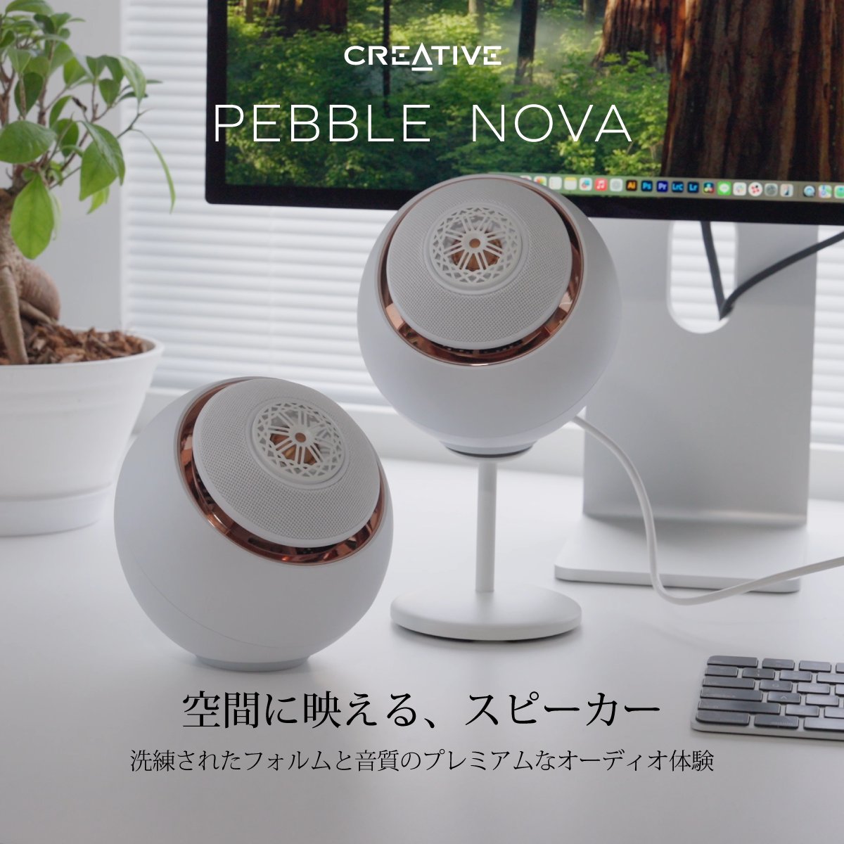 Creative Japan tweet media