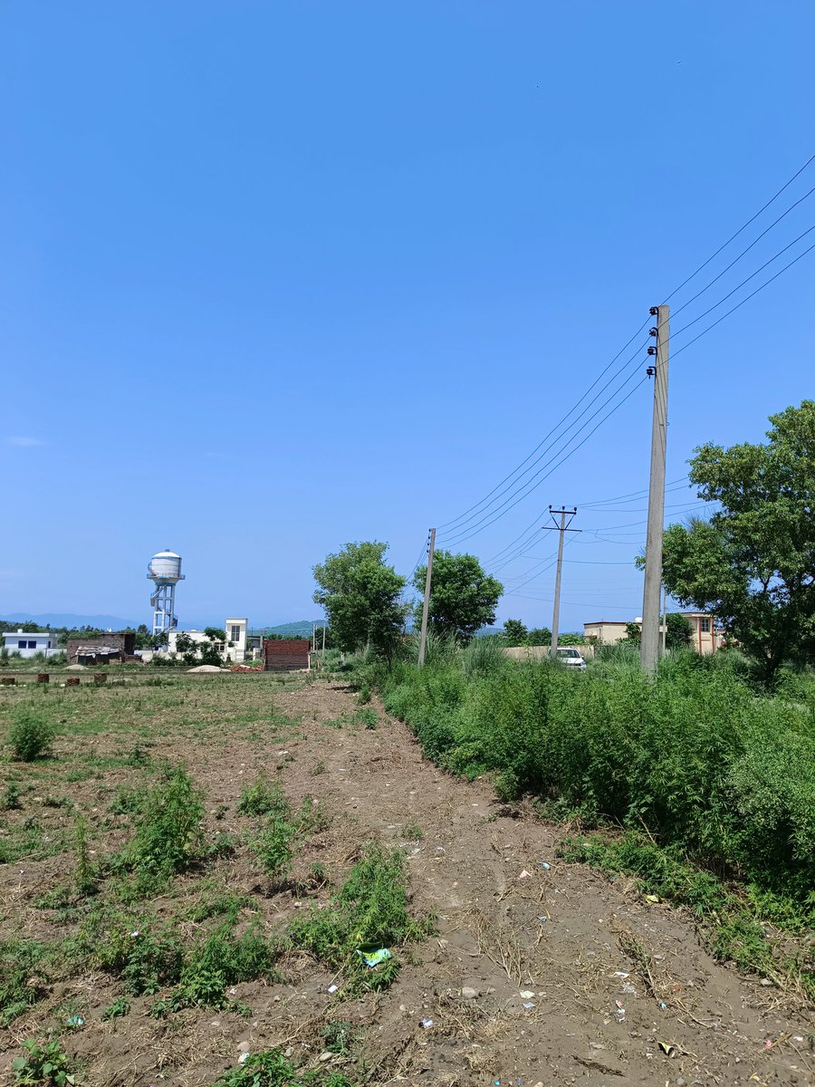 ChhambSnaps tweet media