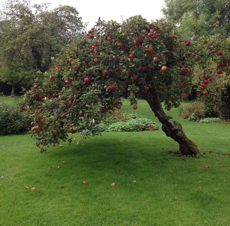 kafkaesquue's tweet image. 