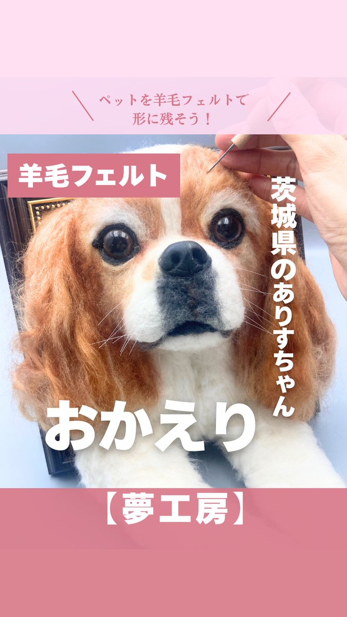 ペット夢工房 | 真心を込めた羊毛フェルト (@yumekoubouyou) / Posts / X
