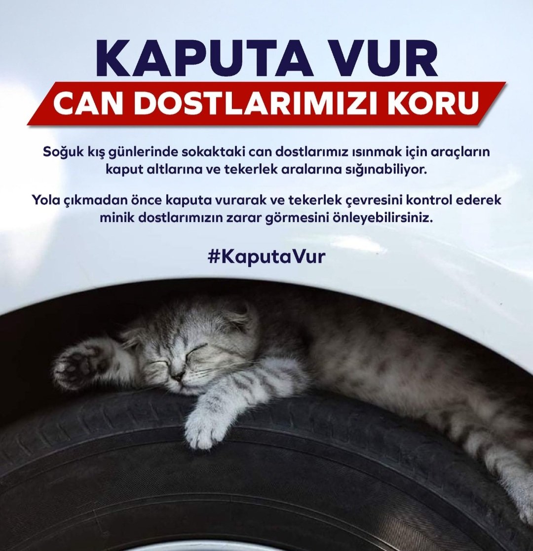 Havalar soğudu...Dışarda yaşayan canlılara destek olalım..Onlara yiyecek verelim su verelim ..