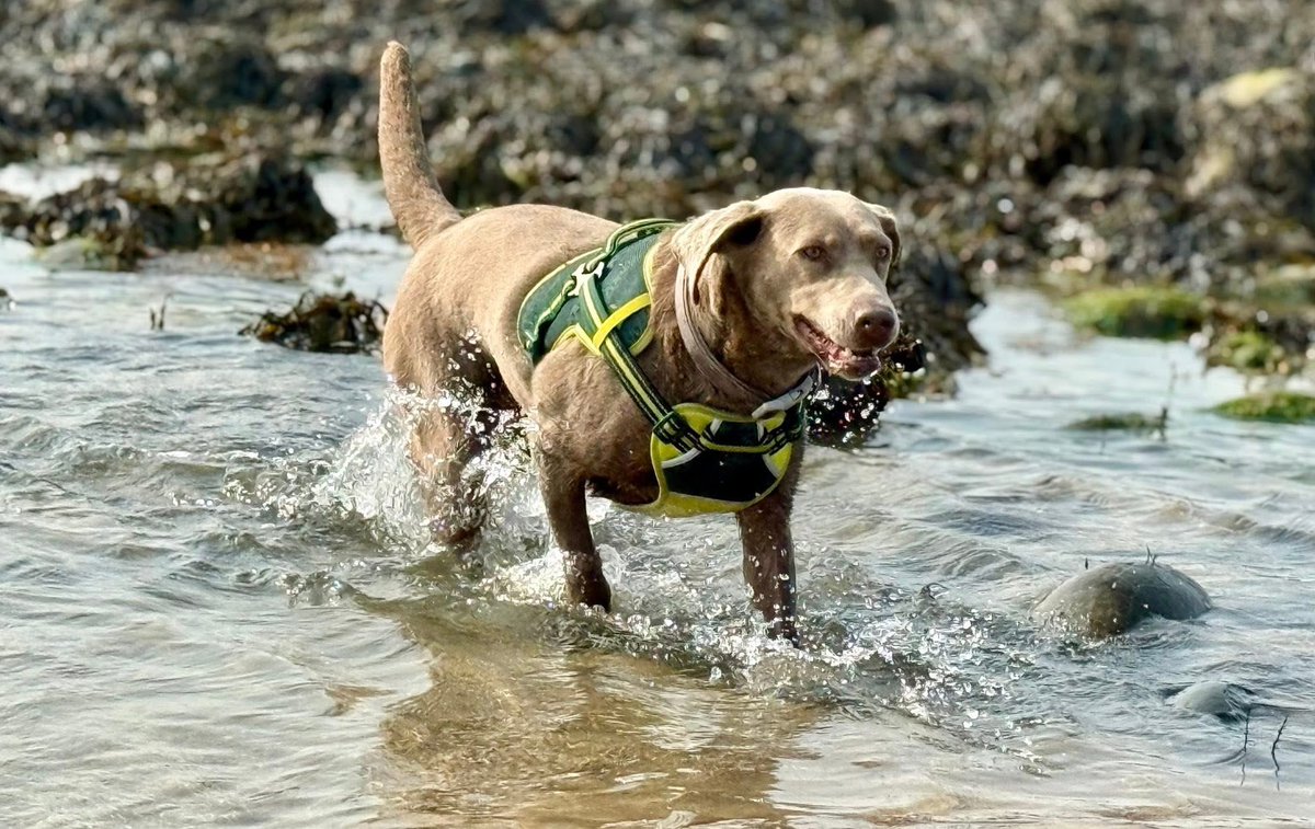 Please share- missing - Exeter, Devon

facebook.com/share/p/16rAPz…