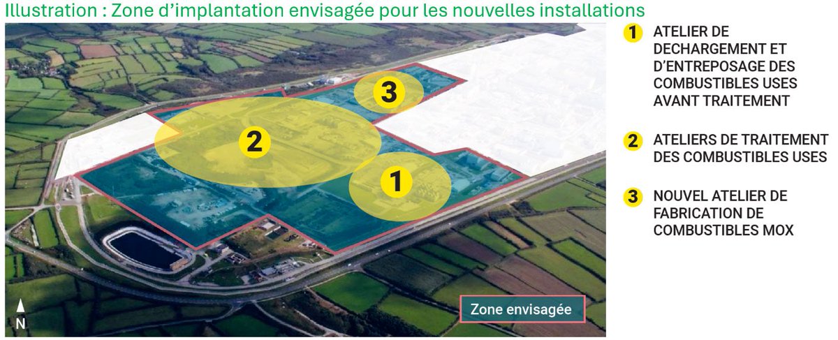 Little Think Tank tweet media