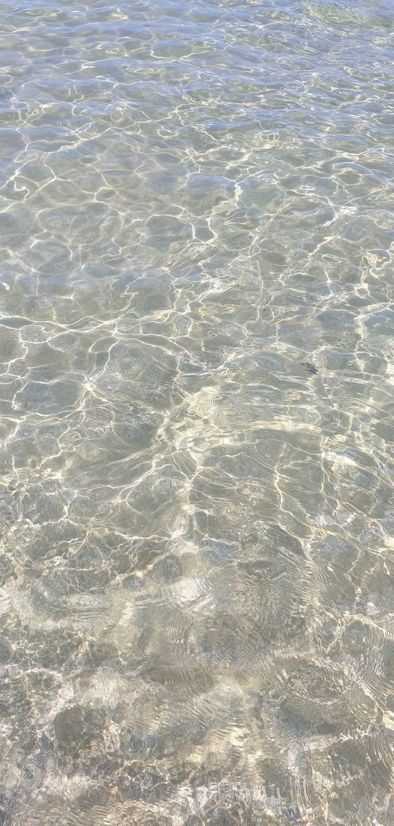 THORBILLA's tweet image. 上司に褒められて嬉しかった
今日は定時で帰れるし最高の一日 🦗