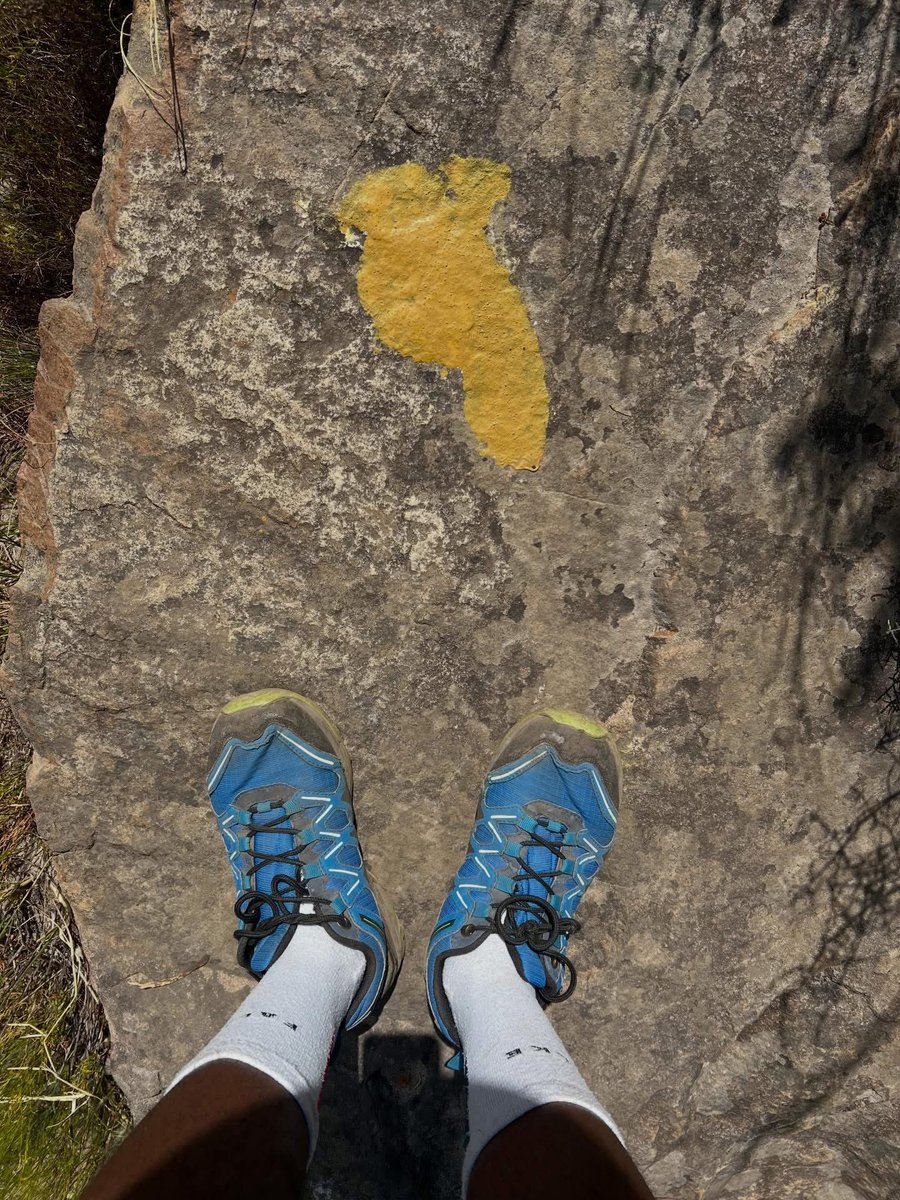 Missing the mountains - the views, the climbs, and the endless desire to explore every peak. For us, life is about being one with nature, connecting deeply, enjoying the moment… and doing it all over again.
The beauty of nature is infinite.⛰️🥾

Are you ready for the weekend?