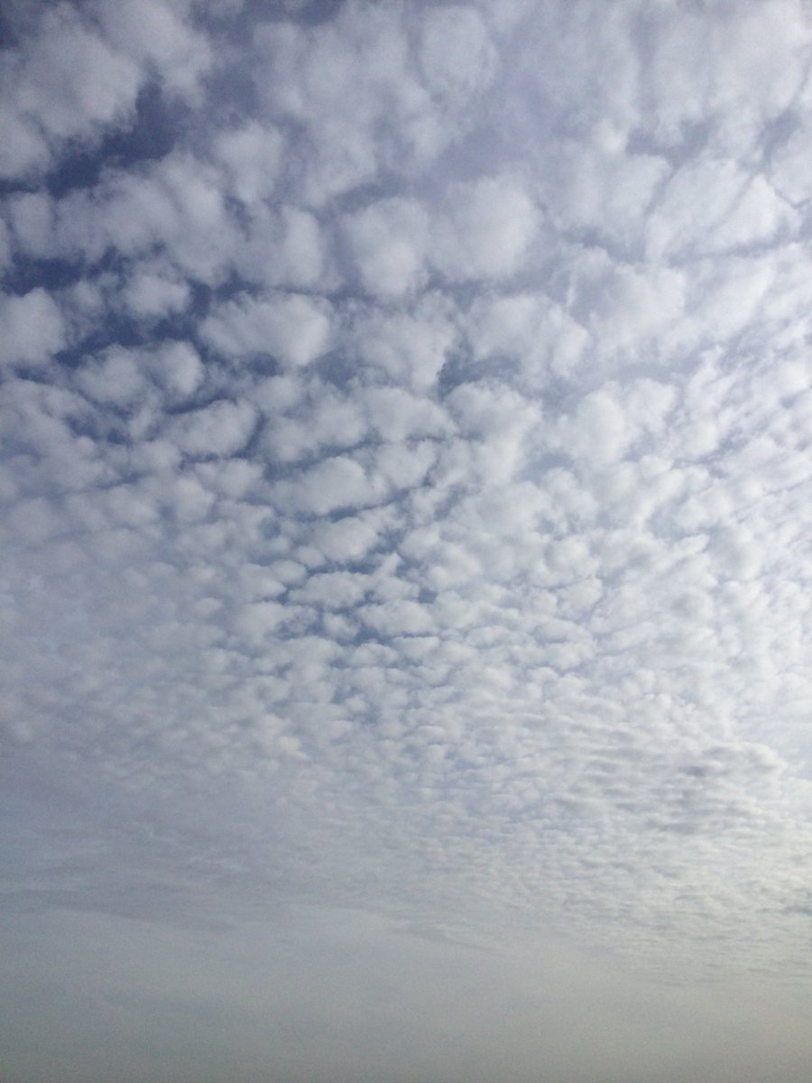Ma quanto è bello il cielo su Roma oggi ?!