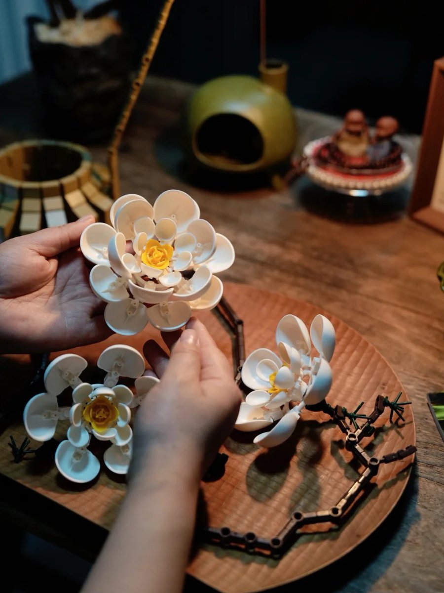 InhawBrick's tweet image. 🌸 Plum blossoms symbolize purity and resilience.
🧘‍♂️ Echoing Japanese Zen: peace in the ordinary, eternity in the moment.

#blockflowers #japanesezen #wabisabi #mindfulliving #plumblossomsymbolism #brickart #peacefulvibes #zenhomedecor #legobuild #legophotography #blockbuilding