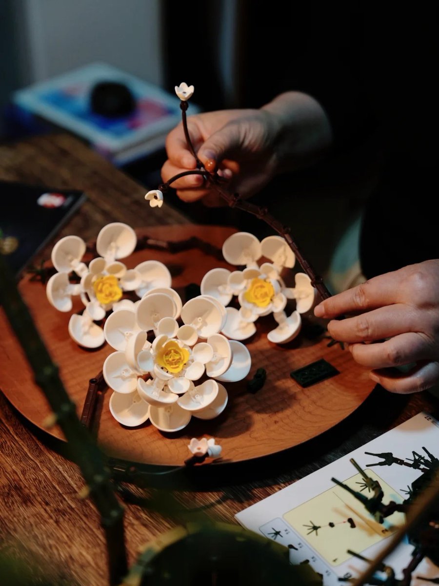 InhawBrick's tweet image. 🌸 Plum blossoms symbolize purity and resilience.
🧘‍♂️ Echoing Japanese Zen: peace in the ordinary, eternity in the moment.

#blockflowers #japanesezen #wabisabi #mindfulliving #plumblossomsymbolism #brickart #peacefulvibes #zenhomedecor #legobuild #legophotography #blockbuilding
