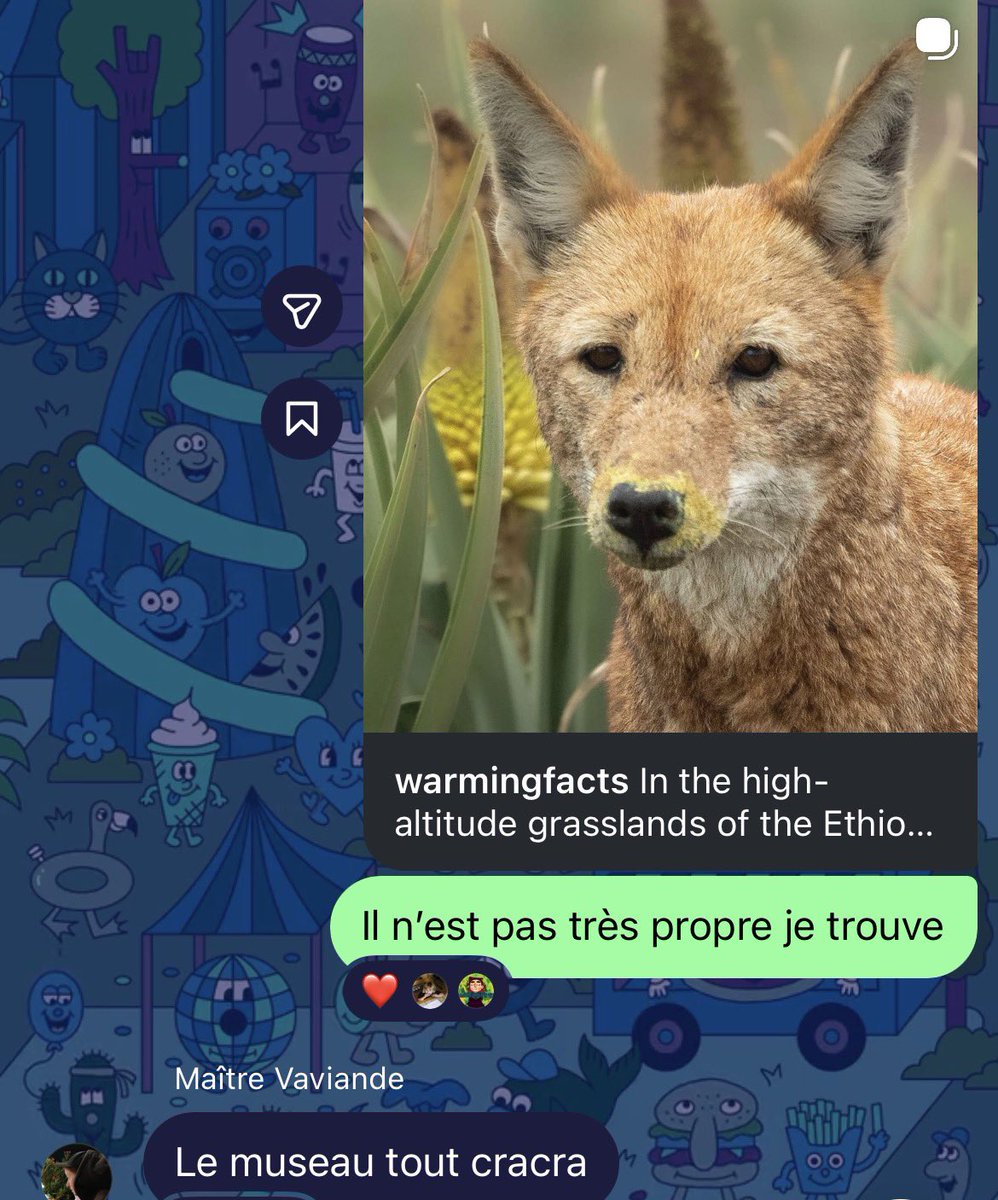 Un peu obsédé par mes amis qui répondent à toutes mes questions sur les animaux que j’leur envoie