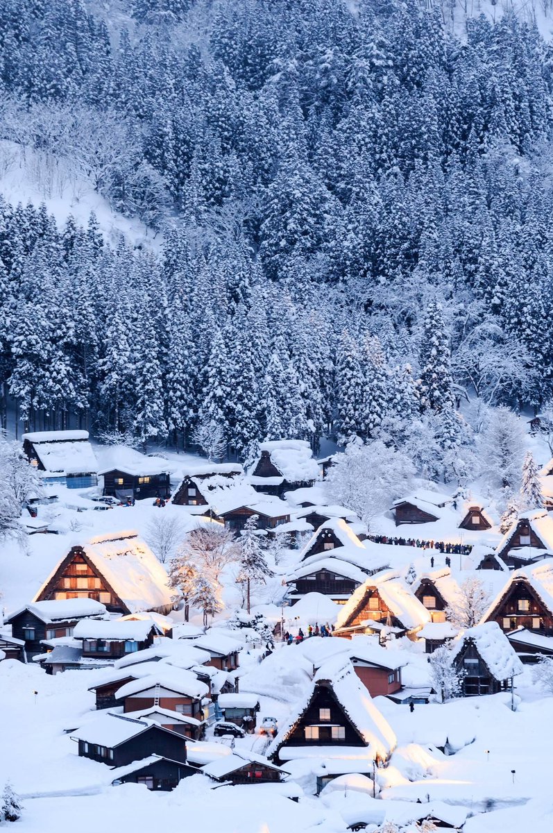 lienzs's tweet image. 近所のおばあちゃんが野菜をくれるので、最近食費が浮いて助かっている 🥦