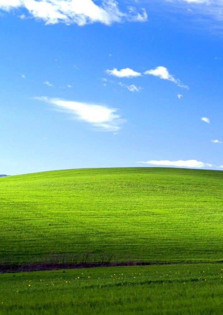 mariseliamor's tweet image. 今日の夜は早く帰って料理する 😢