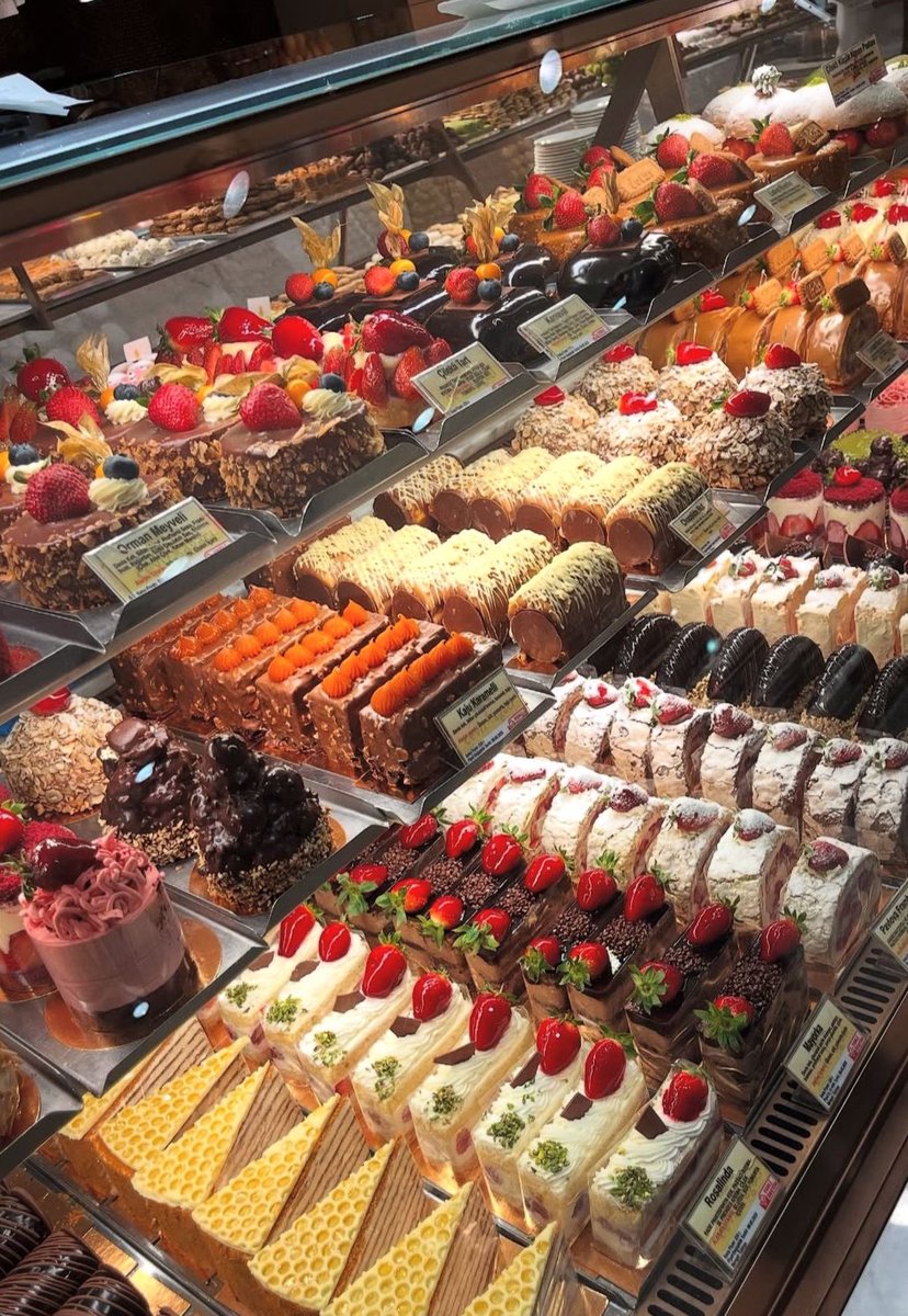 thinspo1141's tweet image. I genuinely am disgusted to the core by this