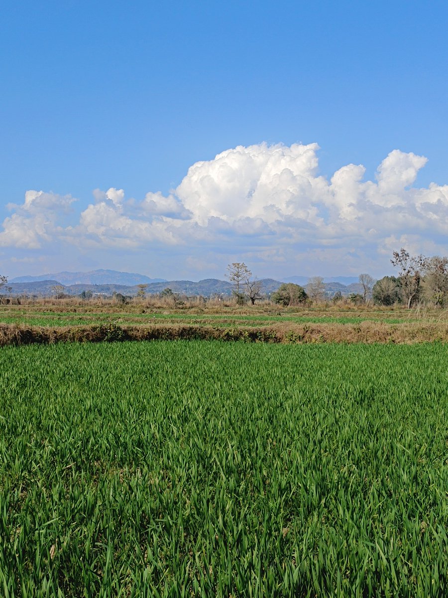 ChhambSnaps tweet media