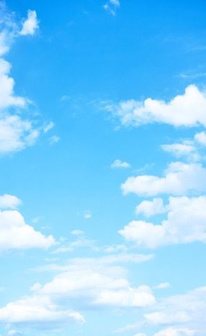 LGeide's tweet image. 電車の遅延で会議に5分遅刻した 🍞