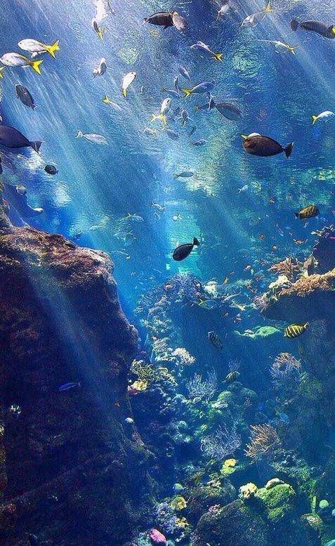 PeterGrabner's tweet image. バイトのシフトが詰まりすぎてる 👩‍🦲