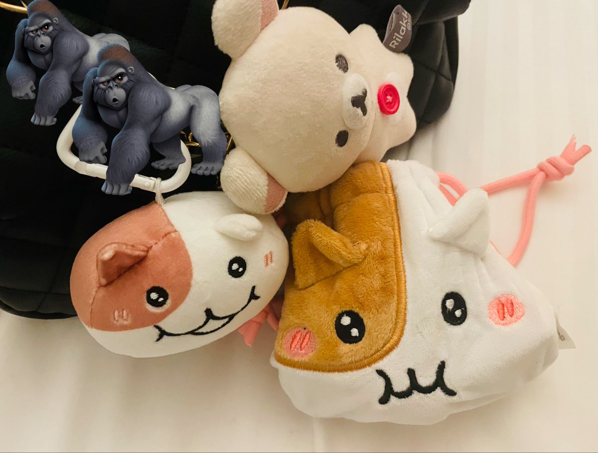 きなこもちY (@kinako_mochi_y) / Posts / X