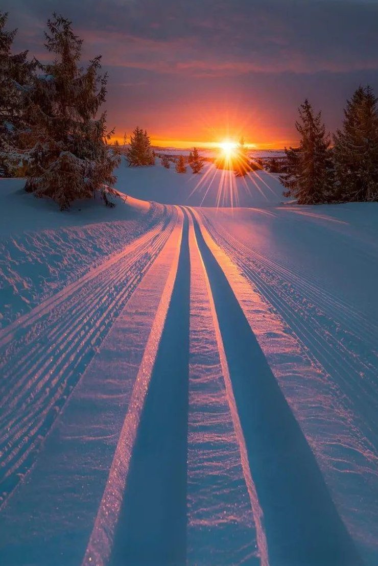 TMickert's tweet image. 課題のレポート5000文字も書かないといけない 😓