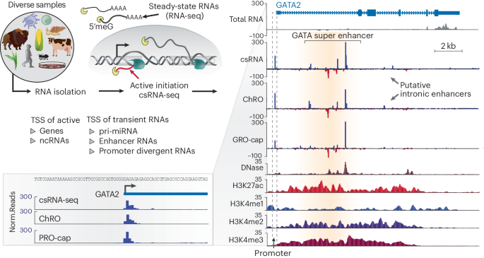 Nature Protocols tweet media