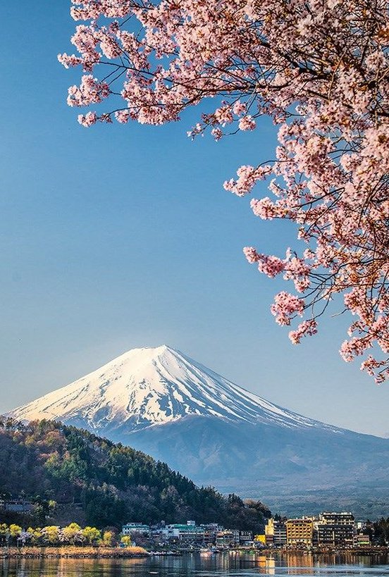 philchat's tweet image. 部屋の掃除機が壊れて困った 😯