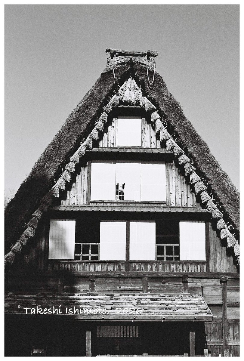 生写真確認用part2 フィルム写真 🎞️: Ilford XP2 Super 📷: Pentax MZ-3 + FA 43mm/1.9