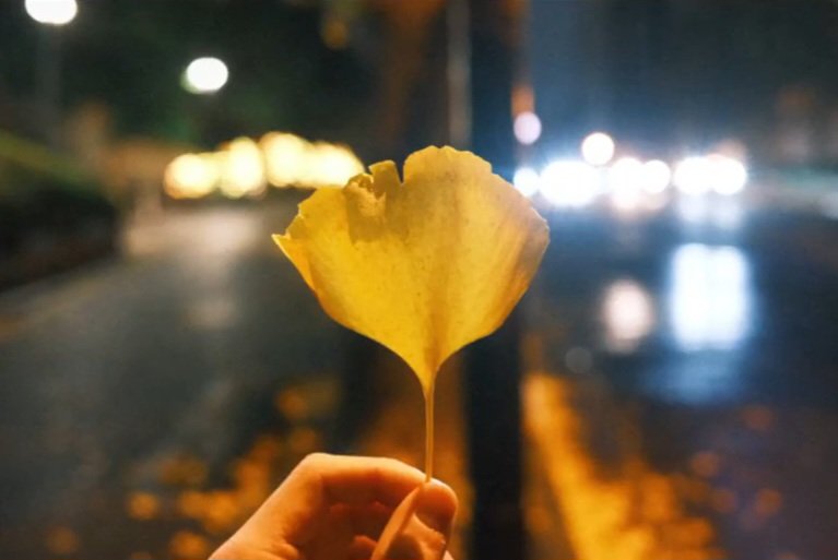 mypluffycloud's tweet image. 📸 你,好不好? #성한빈