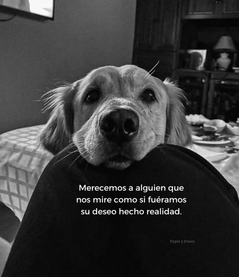 vibesfyp's tweet image. 