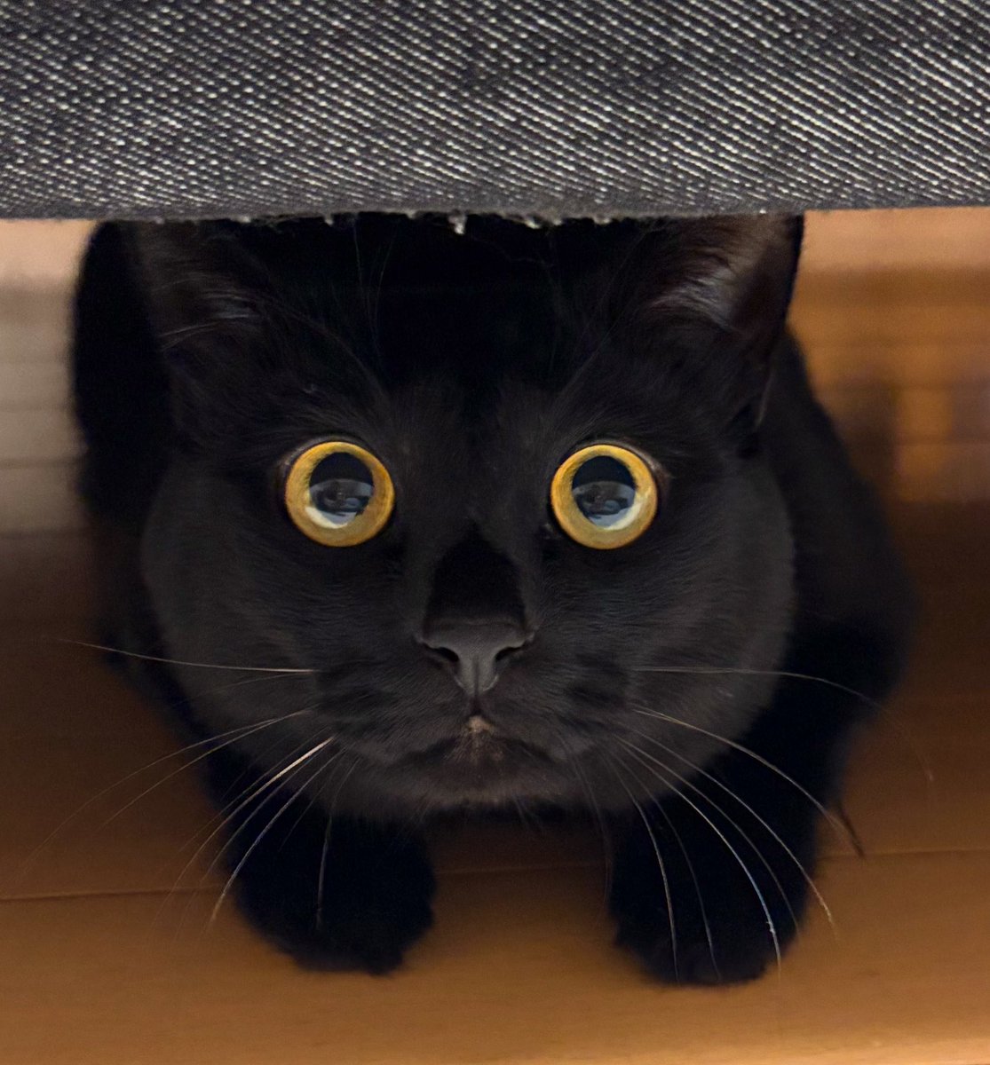 すまいる (@smilesnr) / Posts / X