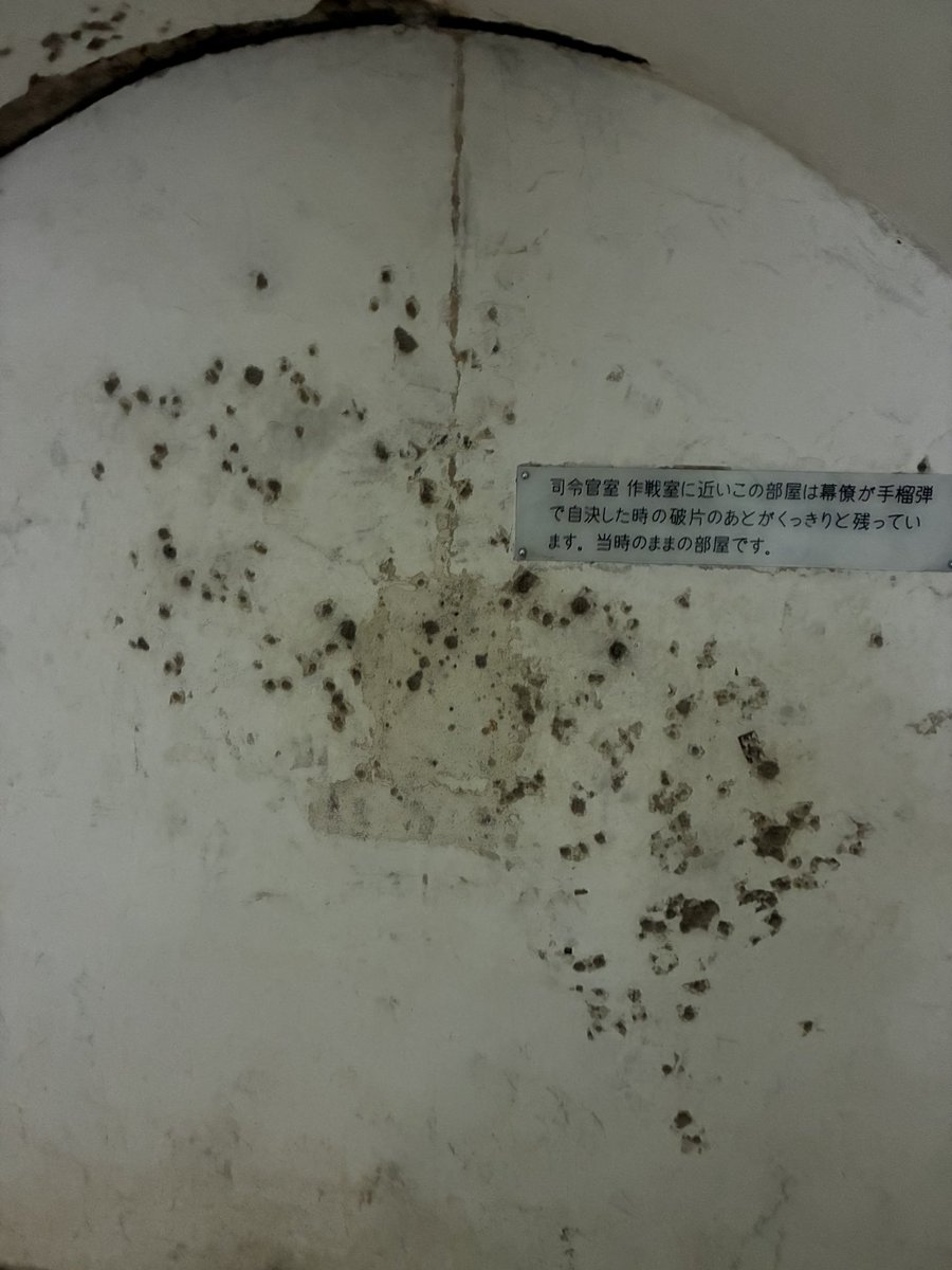 にこらしか@大洗満喫 tweet media