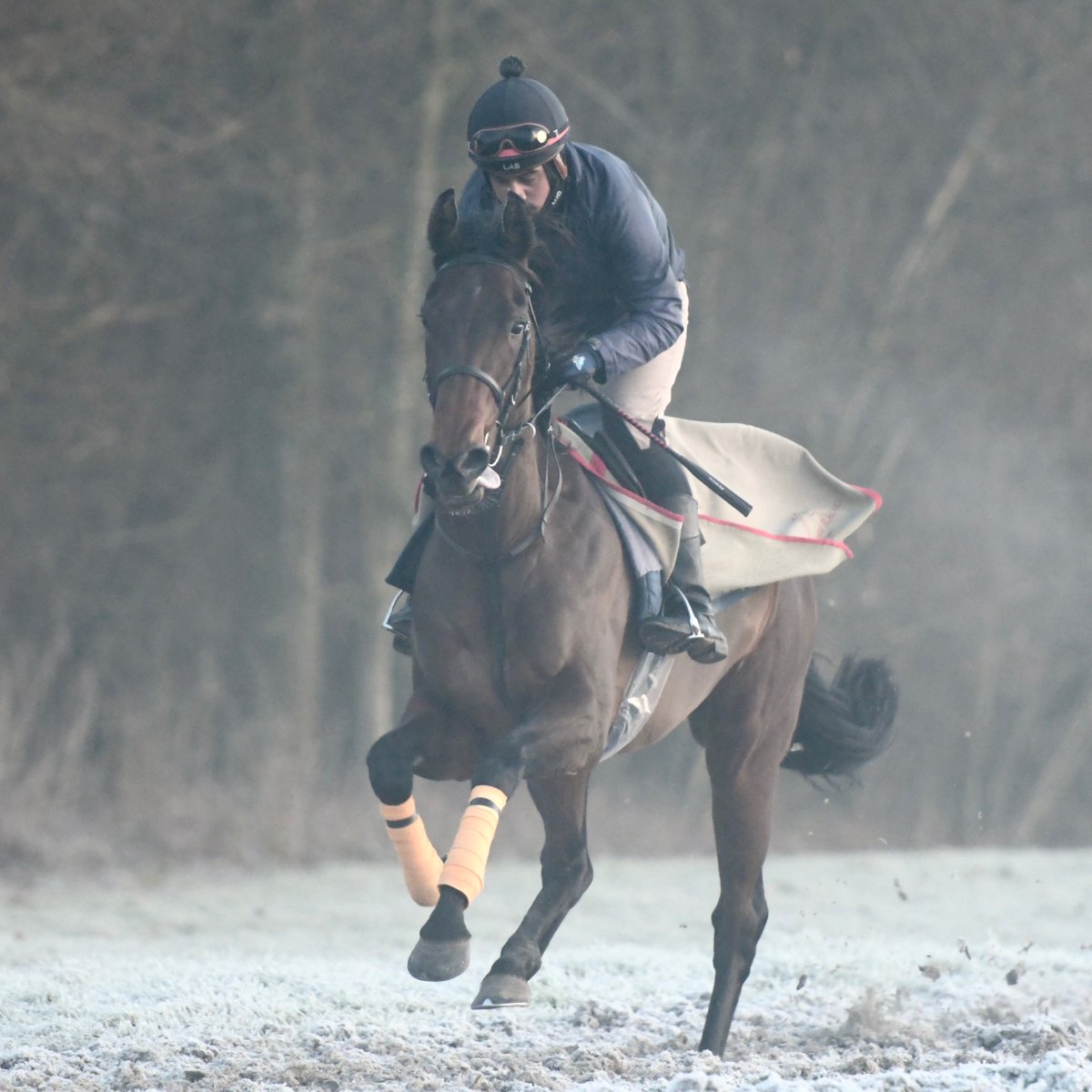 olivercoleracing tweet media