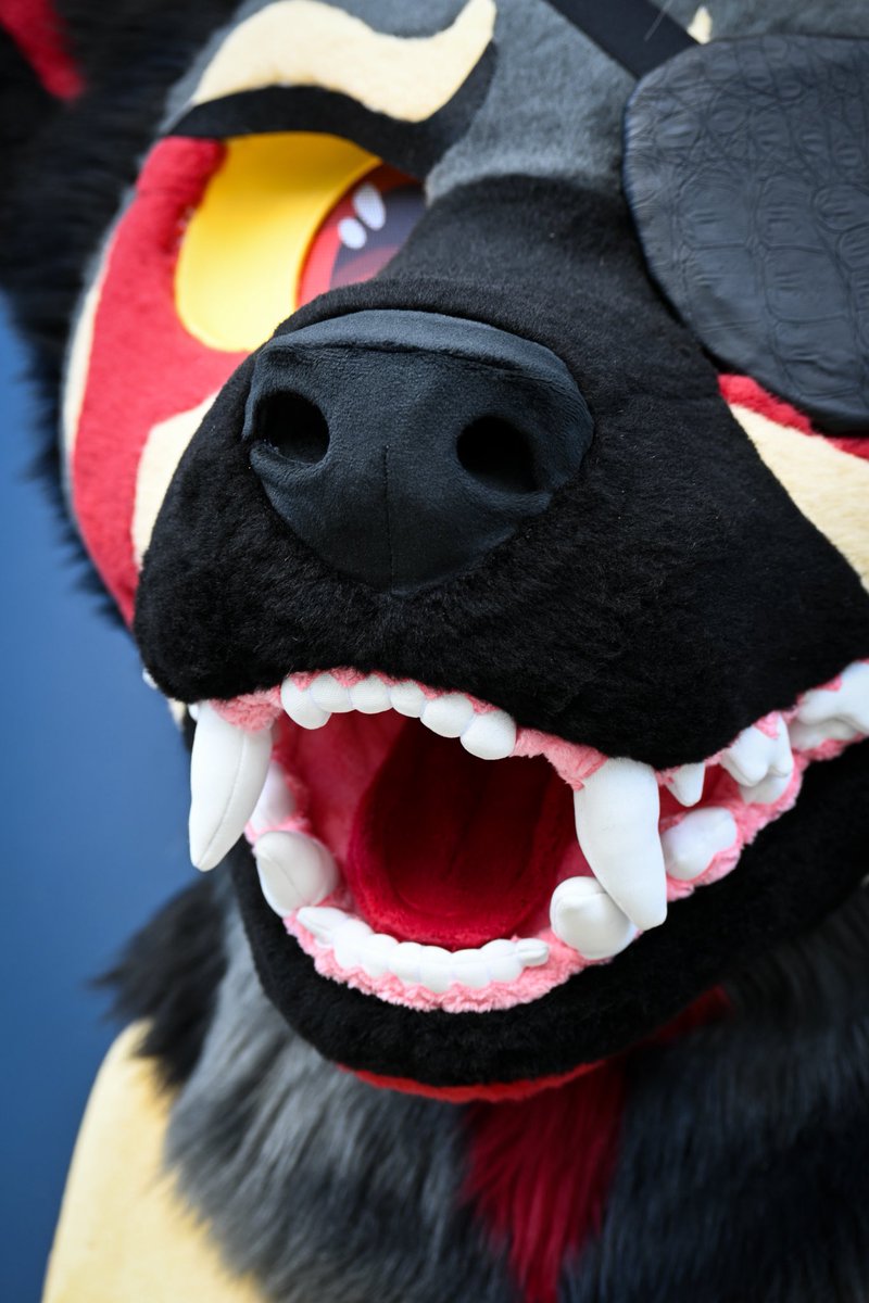 FableBeast Fursuits🍄🔜CFz🐾 tweet media