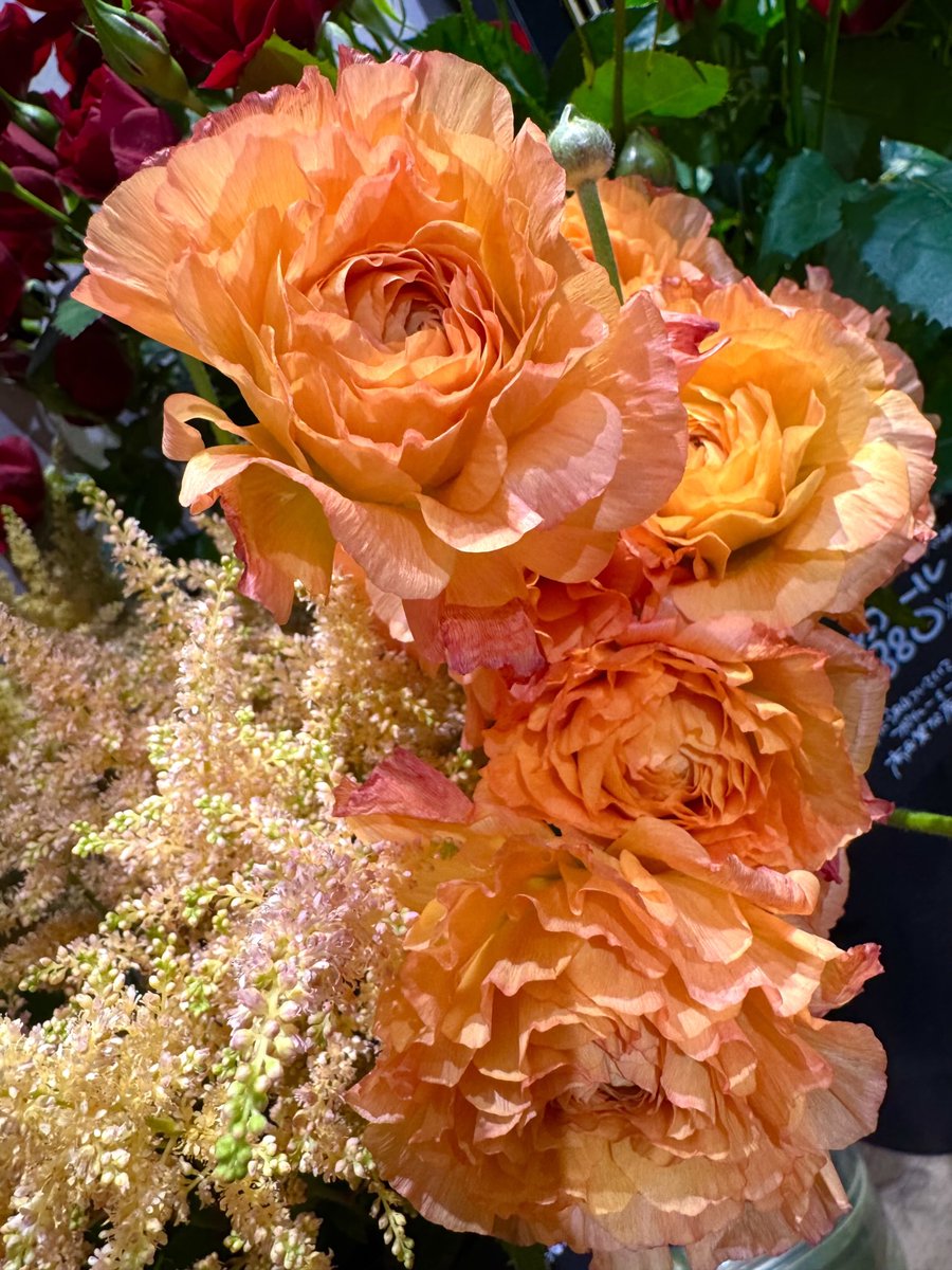 発送日はお品によりますウロウロなおみ ☘️🌿🍃🧡🍃🌿☘️