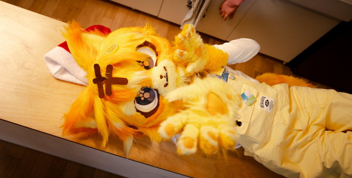 어서 와!! 주방은 이미 내가 접수했어😼 

📸<a href="/nachani77/">나찬📸</a> 

#Fursuit #FursuitFriday #에냐가노랗지그럼