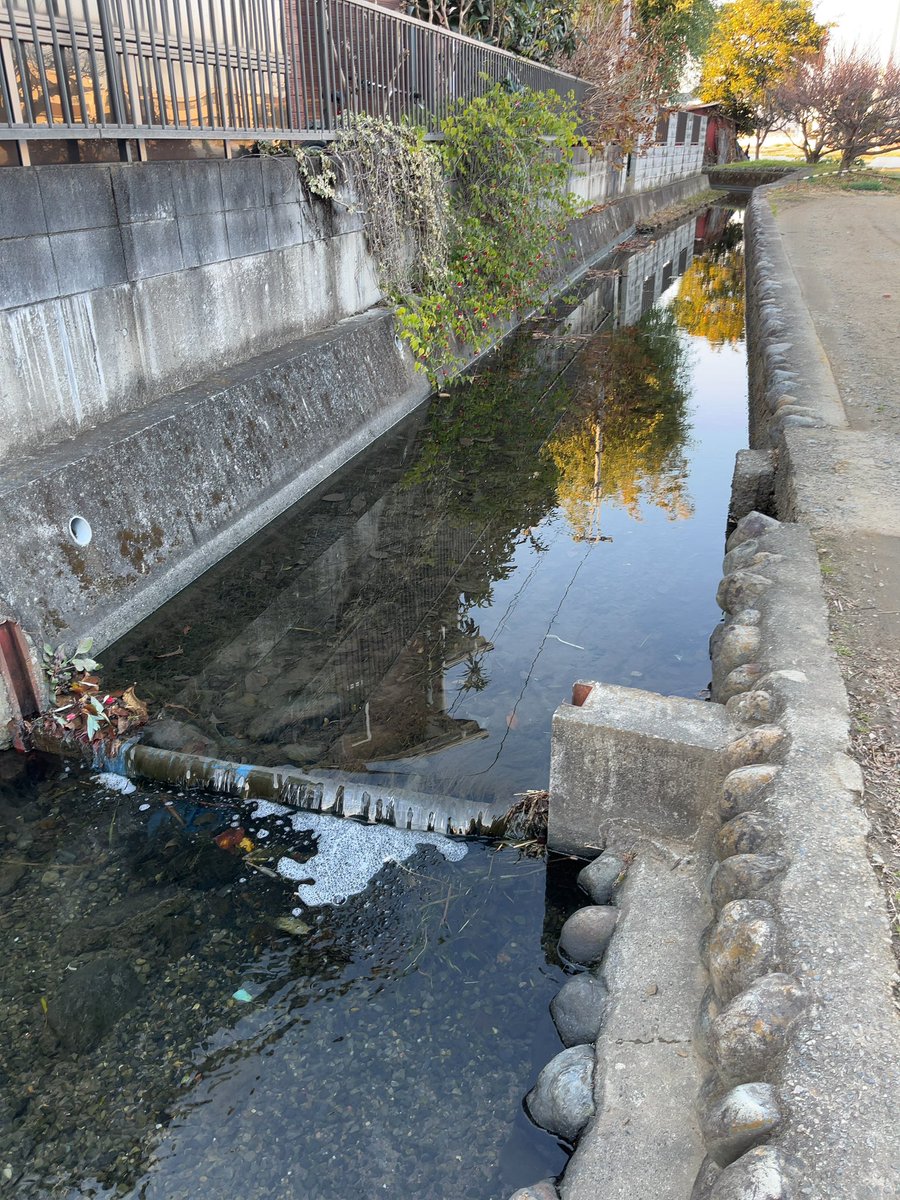 frog_frog's tweet image. 一の宮用水の小さな止水堰
〔多摩市〕