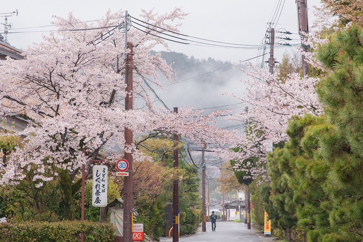 Torpling's tweet image. 今日は一日中雨だったけど家でゆっくり過ごせて意外と充実していた 🍟