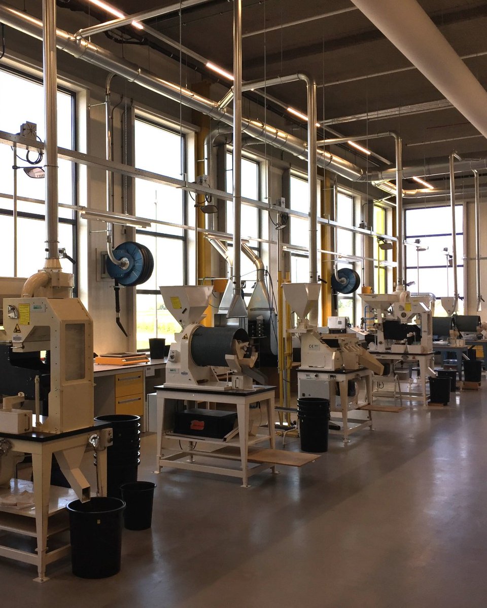 Seed Processing Holland tweet media