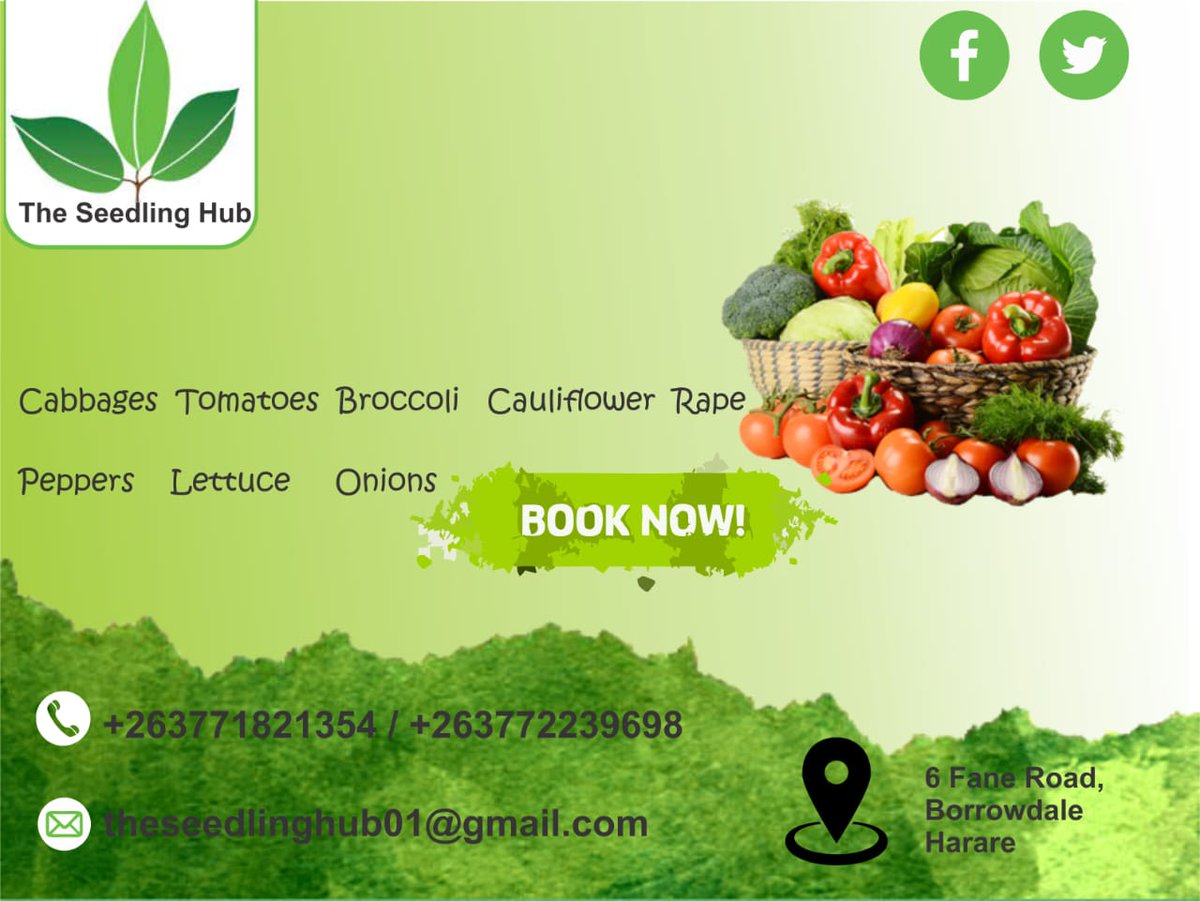 TheSeedlingHub's tweet image. Stronger Seedlings = Superior Harvests.

Unlock the full potential of your farm or garden! Our curated selection of disease-resistant seedlings (tomatoes, cabbage, lettuce &amp;amp; more) gives you the vigorous start needed for maximum yield.

The Grower's Advantage: