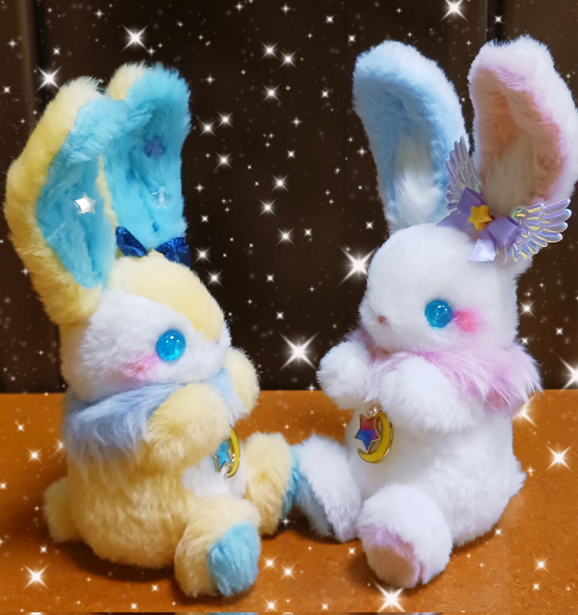 エンジェルちゃん🐰👼生まれました🩷 オッドアイでミステリアスな