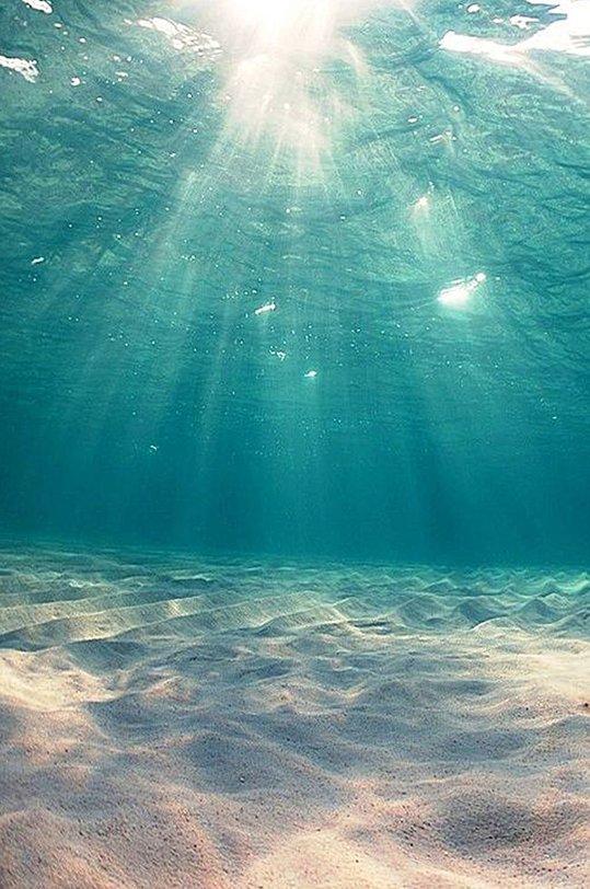 danielcuca's tweet image. コンビニのスイーツが新発売で気になる 🐥