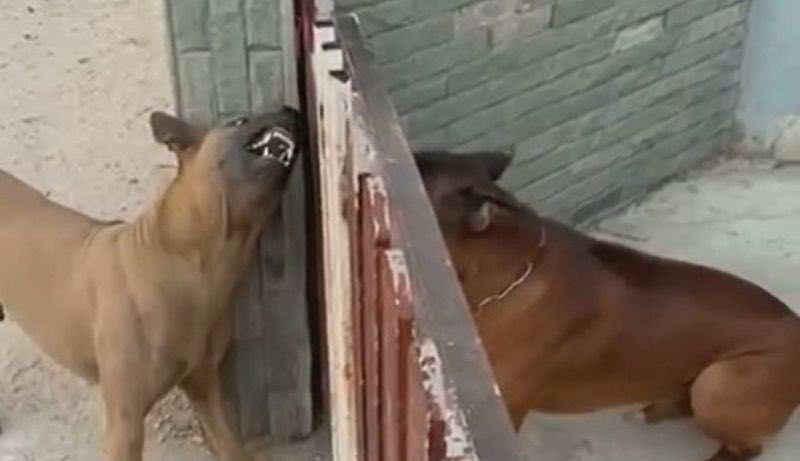 mitabo's tweet image. 