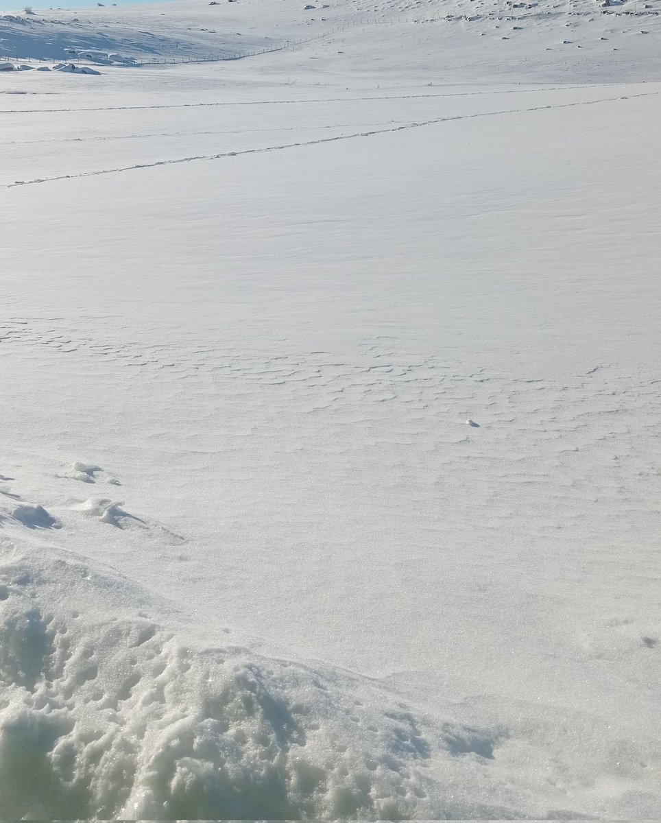 Kar eriyene kadar ders çalışıyorum
#kar