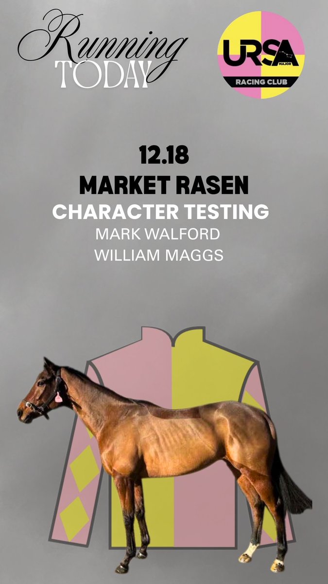 URSAMAJORRACING's tweet photo. Character Testing has arrived @MarketRasenRace 

Hopefully he can put in a clear round of jumping today and come back safely🤞🏼 https://t.co/Ma6wAOfOSi