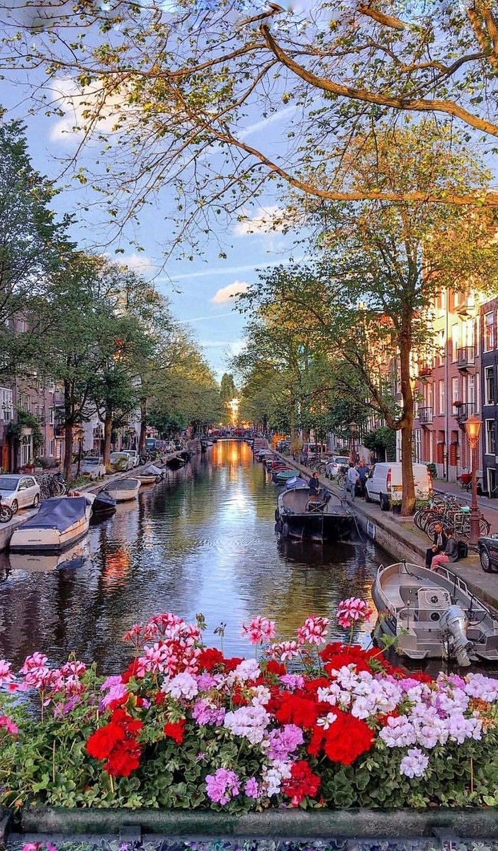 sd_Window's tweet image. 先輩が教えてくれた新しいラーメン店が本当に美味しかった
今度は一緒に行きたいな 🥳