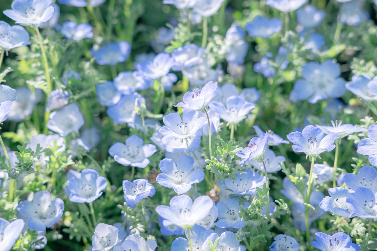 涙の別れなんて僕達には似合わない。